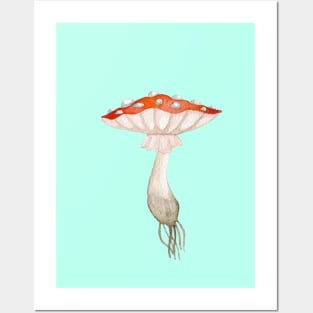 Mushroom Master Fly Agaric Posters and Art